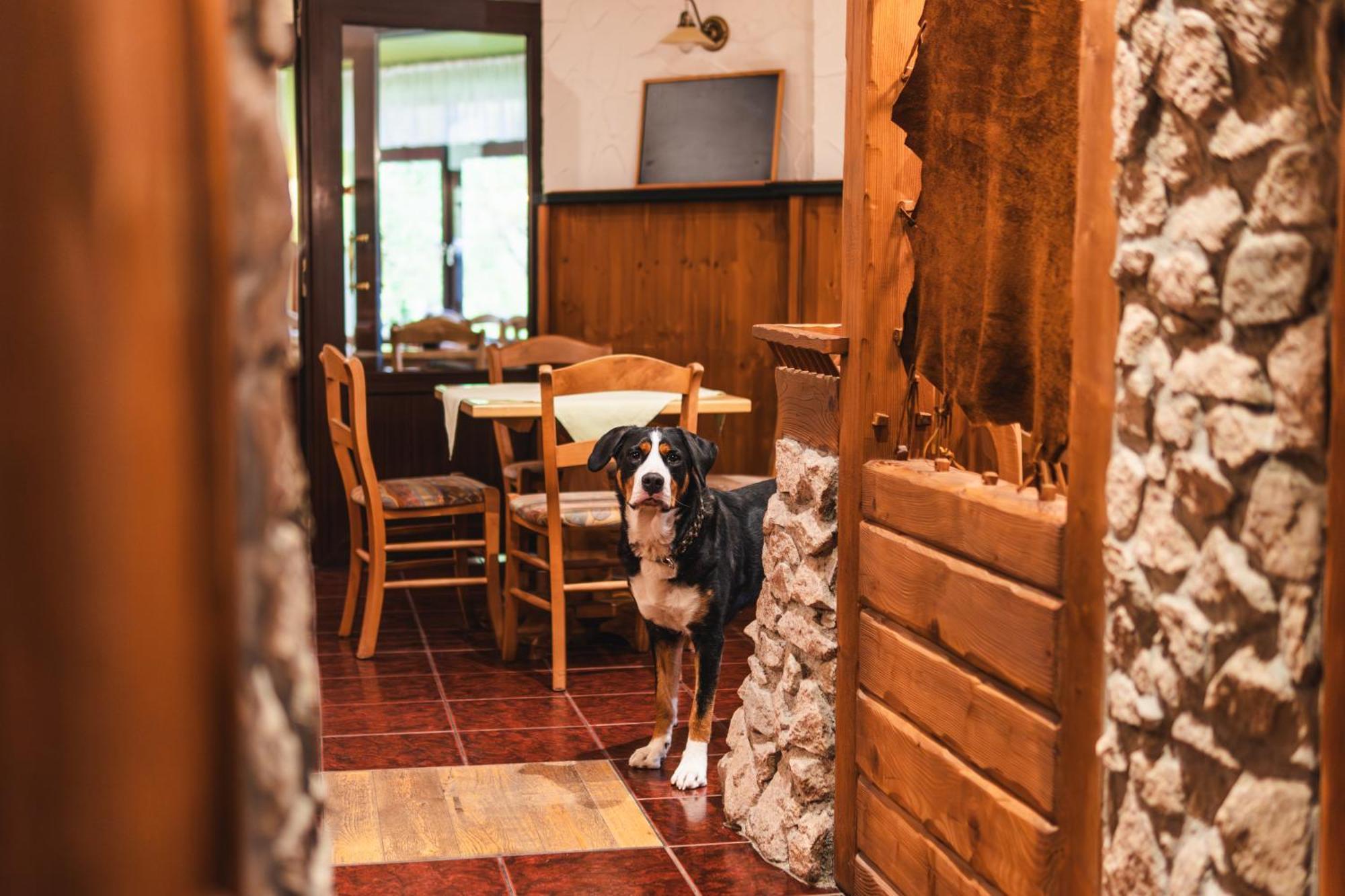 Gasthof Und Pension Hammerschaenke Wildenthal Extérieur photo